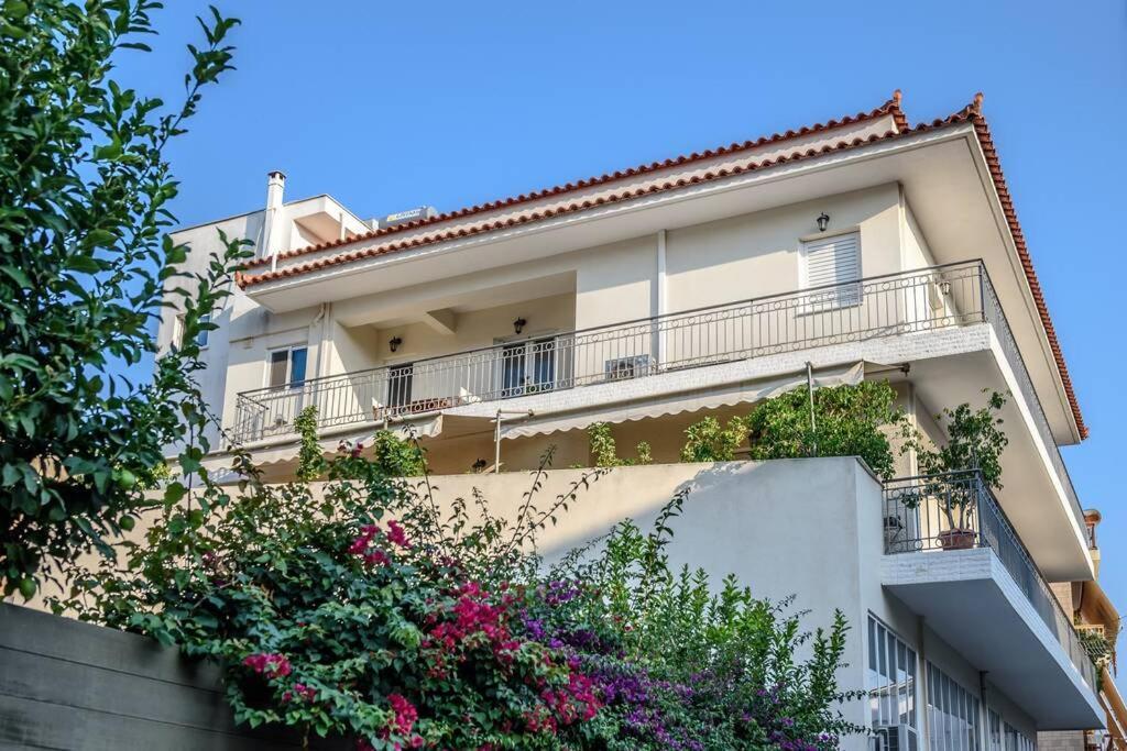 Api Projects * Nafplio