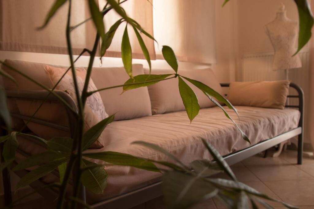 Apartment Api Projects Nafplio